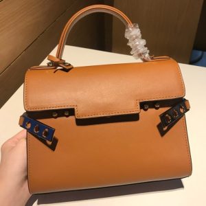 Delvaux-Tote-Bag-with-Stylish-Features-Tan-01A