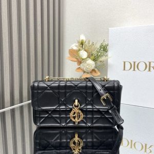 Dior-Tote-bag-with-elegant-features-Black-01A-3
