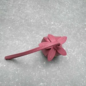 Miu-Miu Red Latest styles 2026 Bags