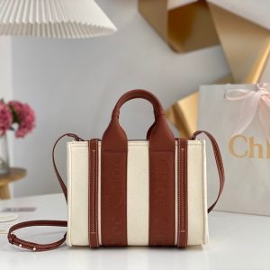 Chloe-Tote-bag-with-stylish-traits-Brown-01A-2