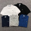 Lacoste polo shirt White, Black, Navy Blue, Gray, Bright Blue clothing