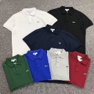 Lacoste polo shirt White, Black, Navy Blue, Green, Blue, Gray, Burgundy clothing