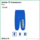 clothing Sp5der TC Sweatpants Blue