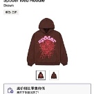 clothing hoodie Brown 003