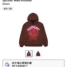 clothing hoodie Brown 005