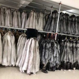 Luxury-Real-Fur-Pelts-–-Soft-Grey-&-Cream-Fox-Fur,-Premium-Q