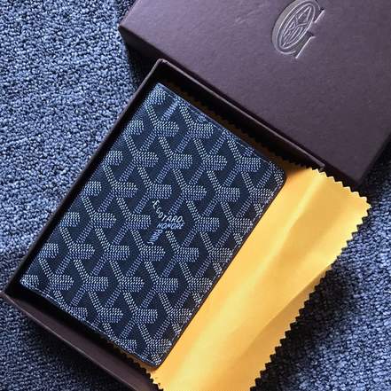 Passport bag