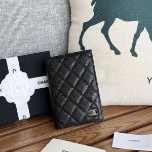 Passport bag