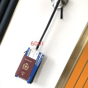 Passport bag