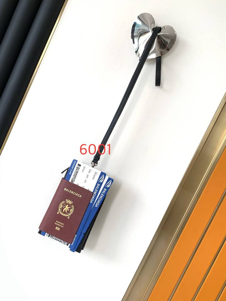 Passport bag