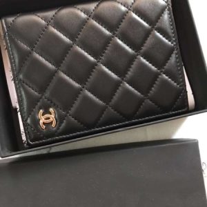 Passport bag