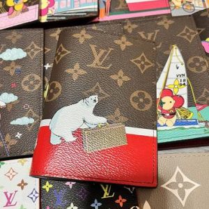 Passport bag