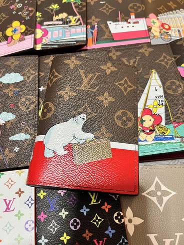Passport bag