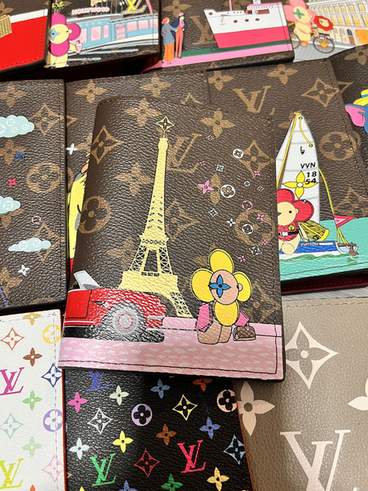Passport bag