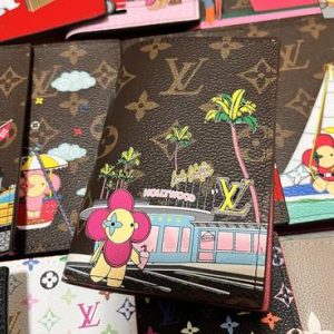 Passport bag
