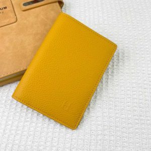 Passport bag