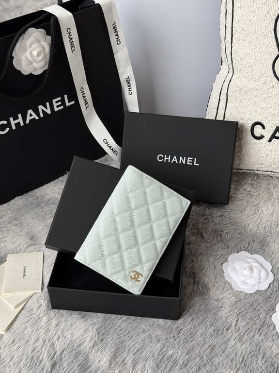 Passport bag