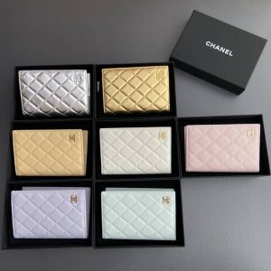 Passport bag
