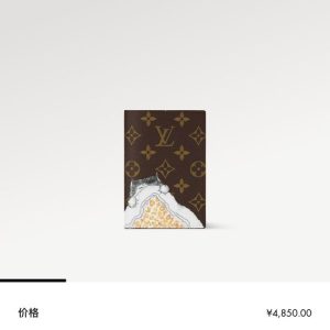 Passport bag