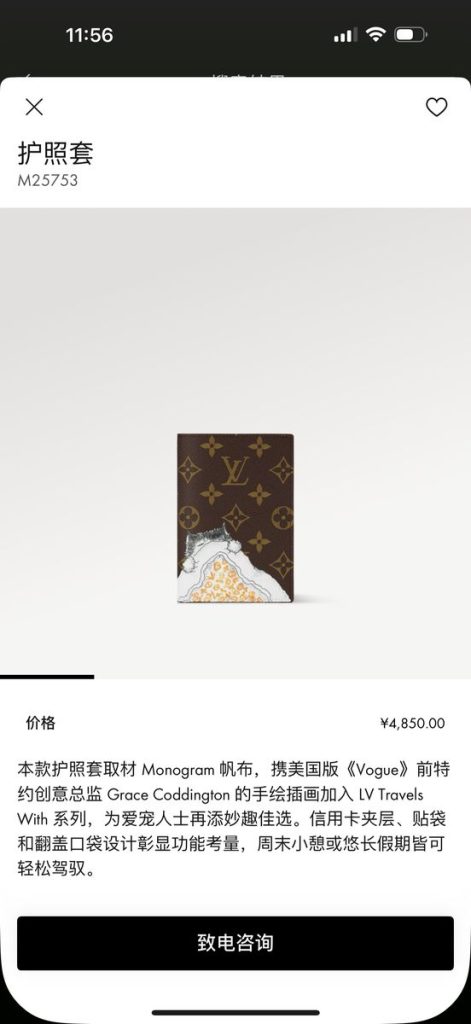 Passport bag