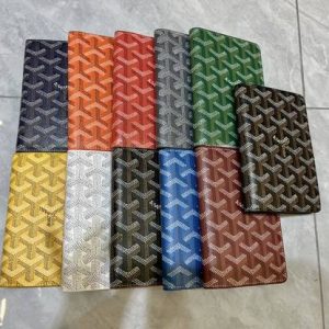 Passport bag