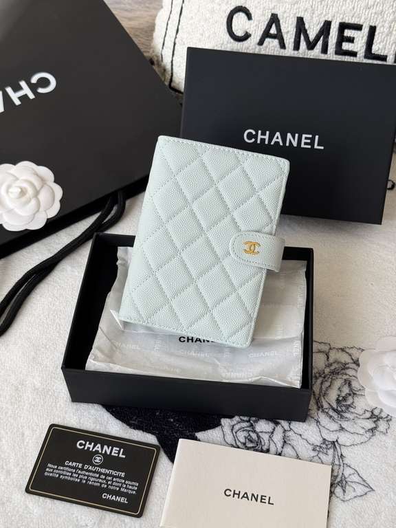 Passport bag