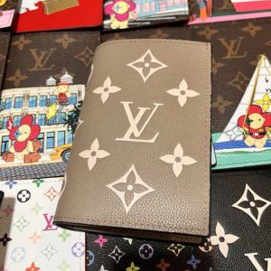 Passport bag