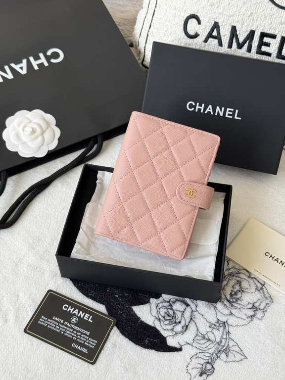 Passport bag