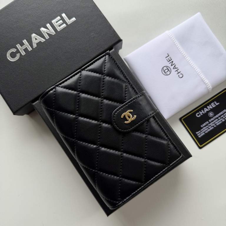 Passport bag