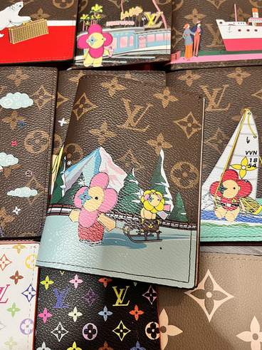Passport bag