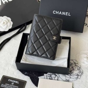 Passport bag