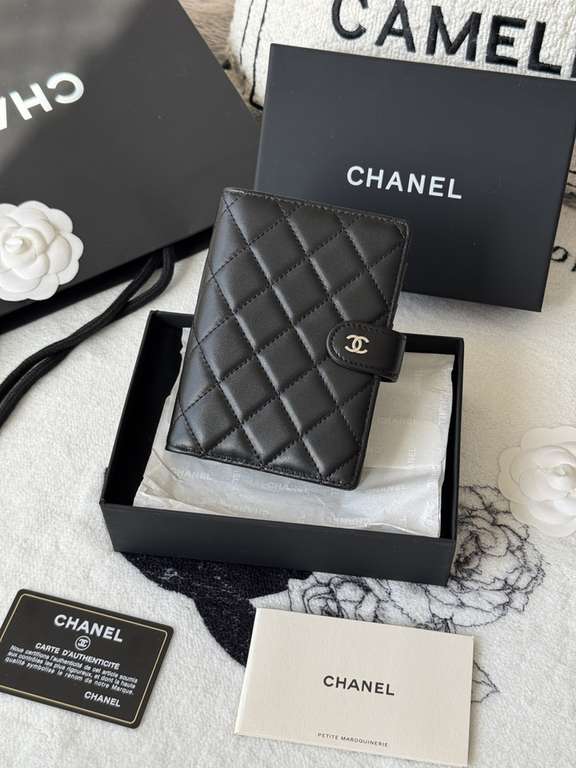 Passport bag