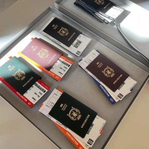 Passport bag