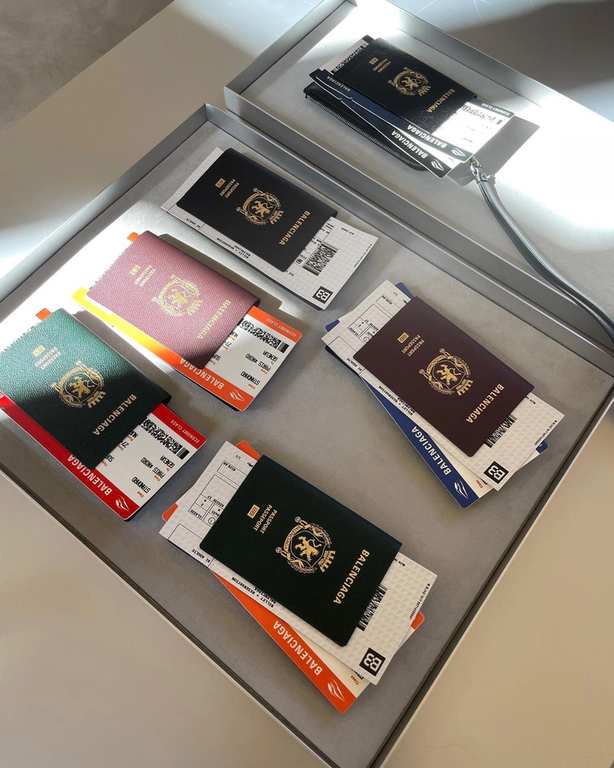 Passport bag