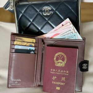 Passport bag