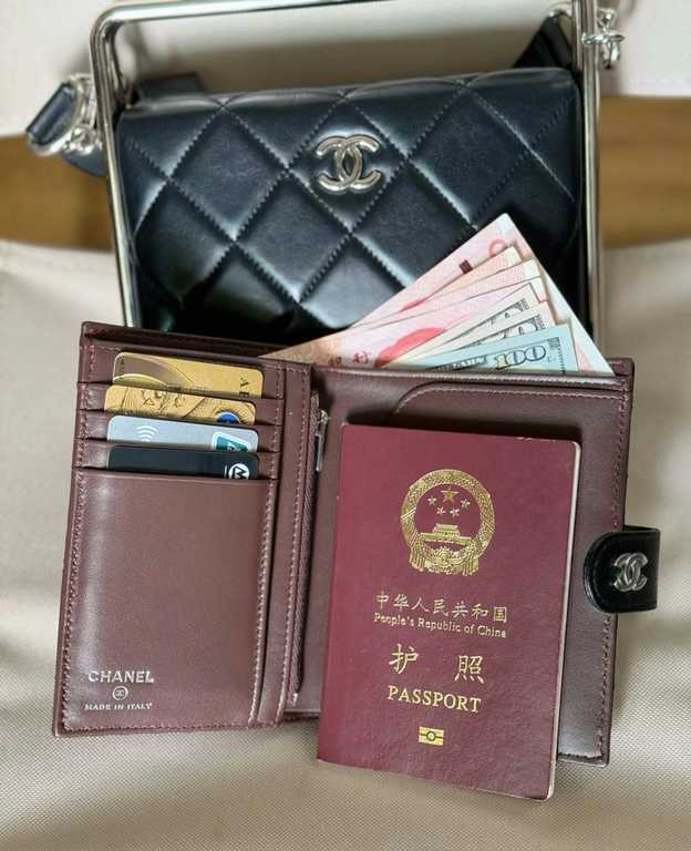 Passport bag