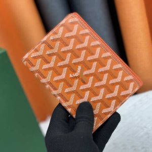 Passport bag