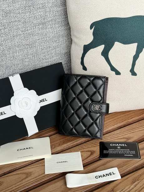 Passport bag