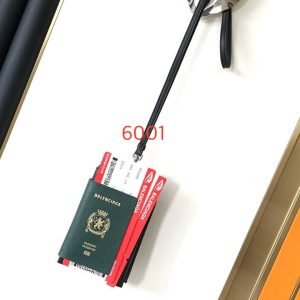 Passport bag