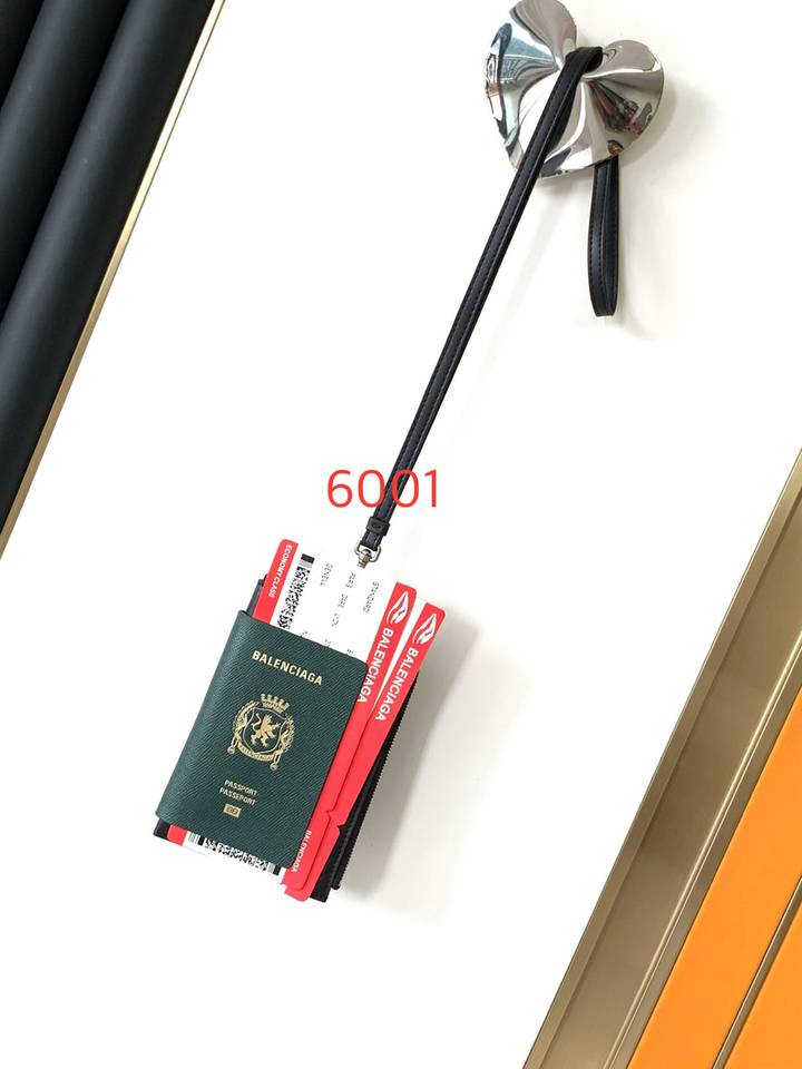 Passport bag