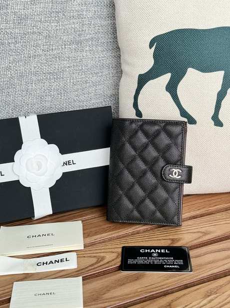 Passport bag