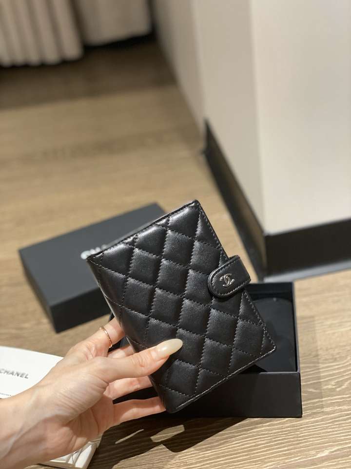 Passport bag