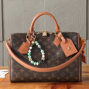 Passport bag