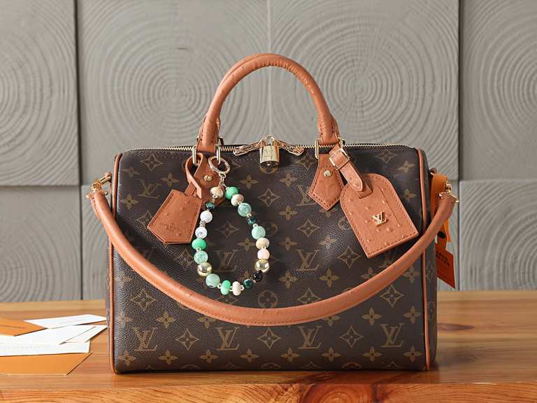 Passport bag