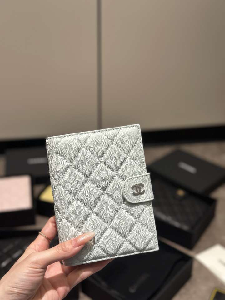 Passport bag