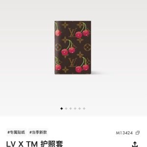 Passport bag