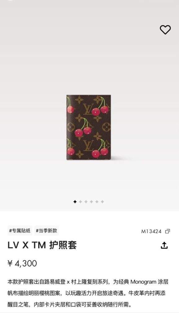 Passport bag