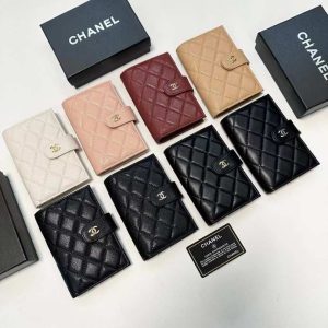 Passport bag