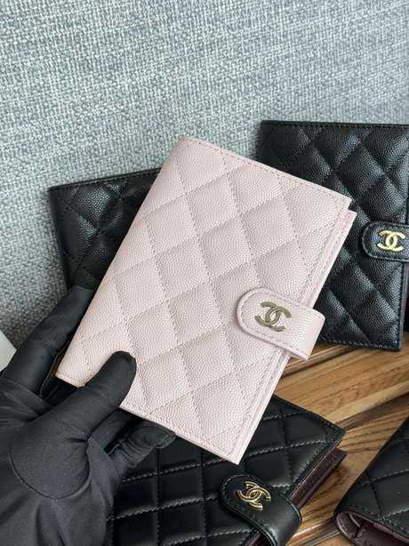 Passport bag