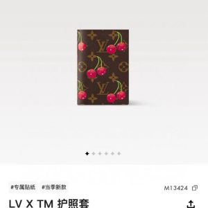 Passport bag